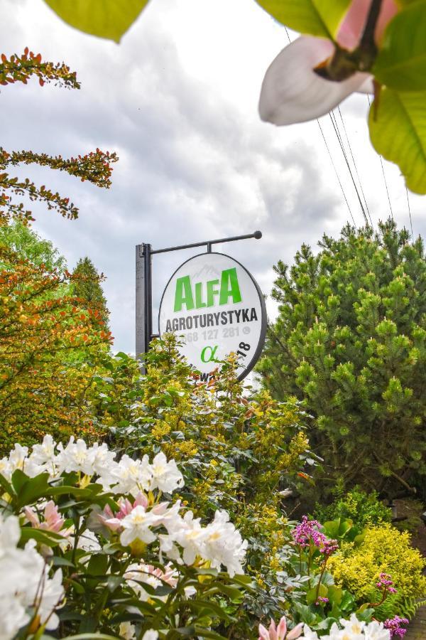 Agroturystyka Alfa Bystra  Eksteriør bilde